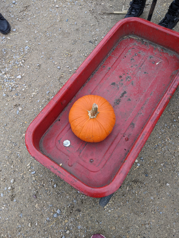 Pumpkin Wagon